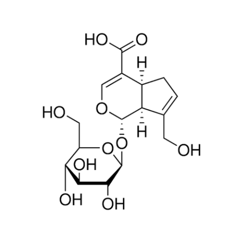 GENIPOSIDIC ACID