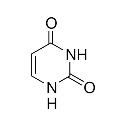 URACIL