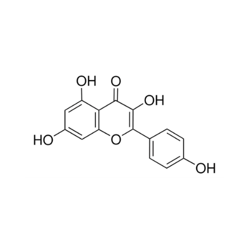 KAEMPFEROL